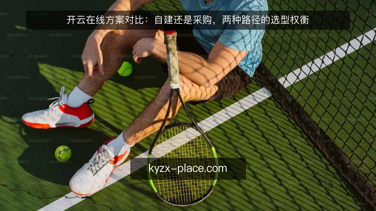 开云在线方案对比：自建还是采购，两种路径的选型权衡