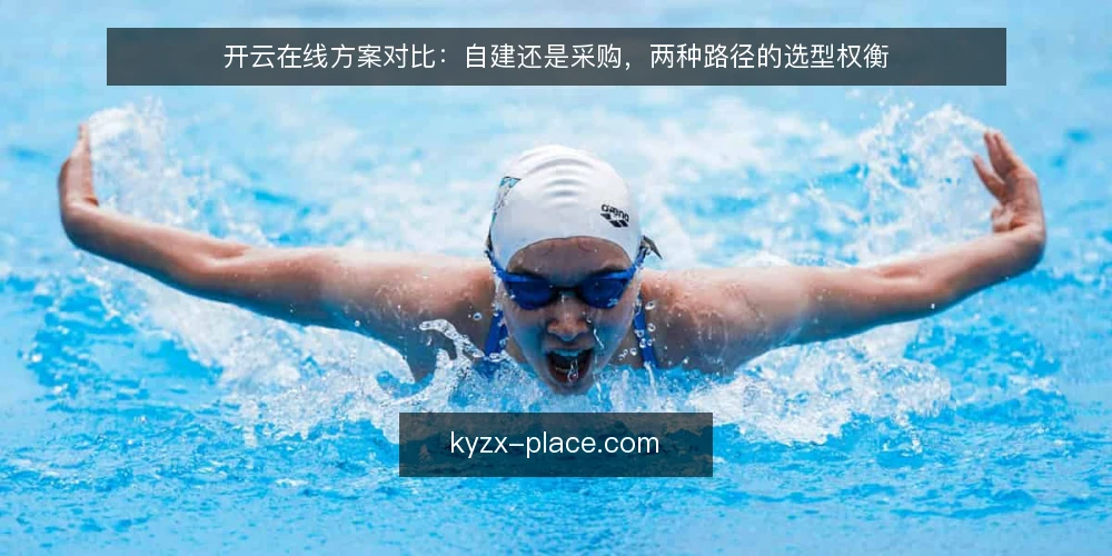 开云在线方案对比：自建还是采购，两种路径的选型权衡 — 选型决策标准：先明确你的边界条件 配图